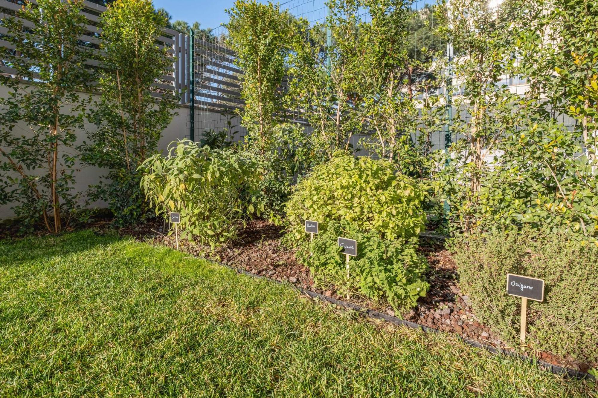 Appartement The Tropical Corner By Rentbeat *